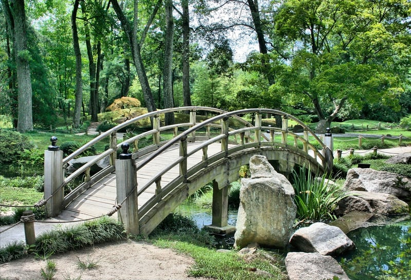 Collaborative Garden